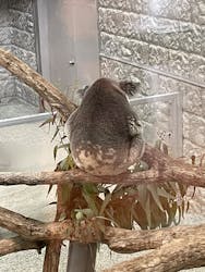 淡路ファームパーク イングランドの丘に投稿された画像（2026/2/16）