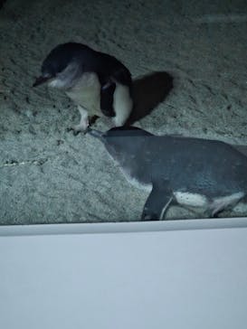 AOAO SAPPOROに投稿された画像（2026/2/16）