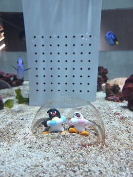 AOAO SAPPOROに投稿された画像（2026/2/16）