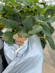 ちりあファームに投稿された画像（2026/2/16）