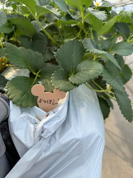 ちりあファームに投稿された画像（2026/2/16）