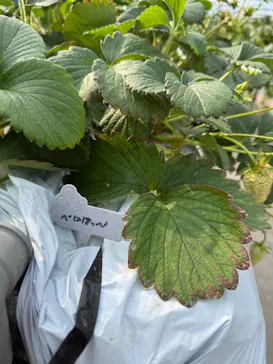 ちりあファームに投稿された画像（2026/2/16）