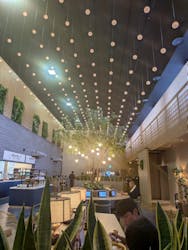 KYOTO ILLUMINATION SYNESTHESIA HILLS るり渓温泉に投稿された画像（2026/2/16）