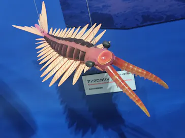 特別展「大絶滅展―生命史のビッグファイブ」に投稿された画像（2026/2/16）