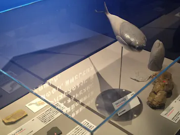 特別展「大絶滅展―生命史のビッグファイブ」に投稿された画像（2026/2/16）