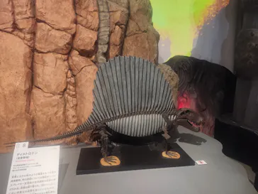 特別展「大絶滅展―生命史のビッグファイブ」に投稿された画像（2026/2/16）