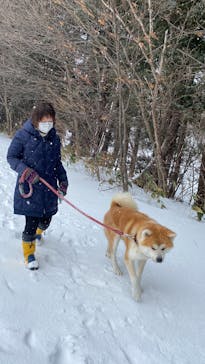 一般社団法人ヘルスケアデザイン秋田に投稿された画像（2026/2/17）