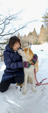 一般社団法人ヘルスケアデザイン秋田に投稿された画像（2026/2/17）