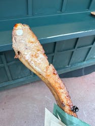 JUNGLIA OKINAWA（ジャングリア沖縄）×OKINAWAフルーツらんどに投稿された画像（2026/2/17）