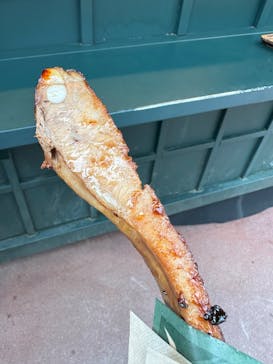 JUNGLIA OKINAWA（ジャングリア沖縄）×OKINAWAフルーツらんどに投稿された画像（2026/2/17）