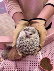 原宿かわいいランドキュンキュンに投稿された画像（2026/2/17）