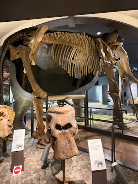 滋賀県立琵琶湖博物館に投稿された画像（2026/2/17）