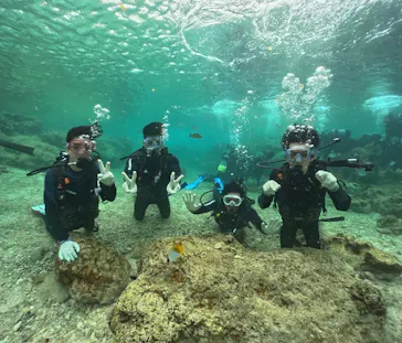 武藤潜水に投稿された画像（2026/2/17）