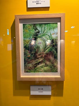 みろくの里に投稿された画像（2026/2/17）