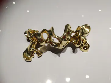 NAKED meets ガウディ展に投稿された画像（2026/2/17）