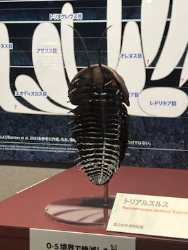 特別展「大絶滅展―生命史のビッグファイブ」に投稿された画像（2026/2/17）