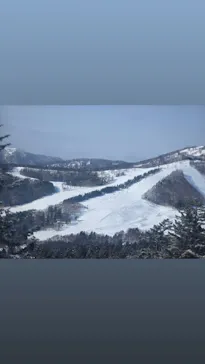 星野リゾート　トマムスキー場に投稿された画像（2026/2/17）