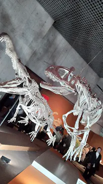 特別展「大絶滅展―生命史のビッグファイブ」に投稿された画像（2026/2/17）