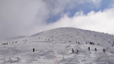 蔵王ロープウェイに投稿された画像（2026/2/17）