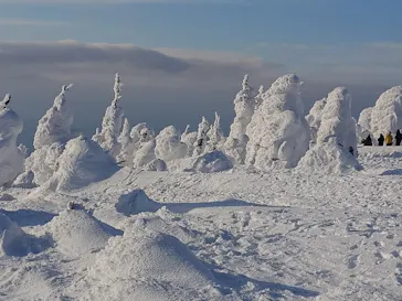 蔵王ロープウェイに投稿された画像（2026/2/17）