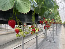 MIGAKI FARMに投稿された画像（2026/2/17）