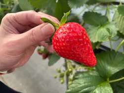 MIGAKI FARMに投稿された画像（2026/2/17）