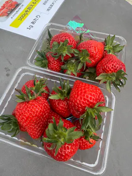 東松山市農林公園に投稿された画像（2026/2/17）