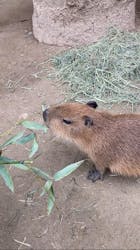 長崎バイオパークに投稿された画像（2026/2/17）