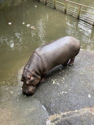 長崎バイオパークに投稿された画像（2026/2/17）