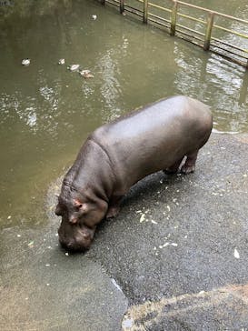 長崎バイオパークに投稿された画像（2026/2/17）