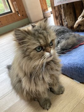 長崎バイオパークに投稿された画像（2026/2/17）