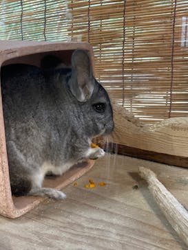 長崎バイオパークに投稿された画像（2026/2/17）