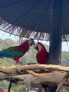 長崎バイオパークに投稿された画像（2026/2/17）