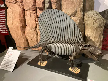 特別展「大絶滅展―生命史のビッグファイブ」に投稿された画像（2026/2/17）