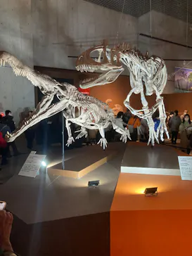 特別展「大絶滅展―生命史のビッグファイブ」に投稿された画像（2026/2/17）