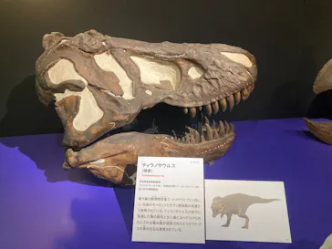 特別展「大絶滅展―生命史のビッグファイブ」に投稿された画像（2026/2/17）