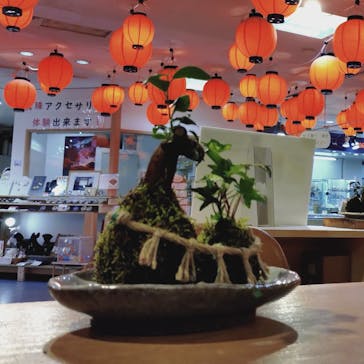 伊勢夫婦岩めおと横丁　めおと岩アクティビティに投稿された画像（2026/2/17）