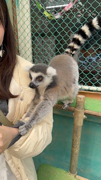 東北サファリパークに投稿された画像（2026/2/17）