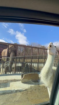 東北サファリパークに投稿された画像（2026/2/17）