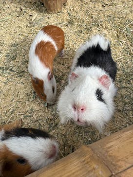 東北サファリパークに投稿された画像（2026/2/17）