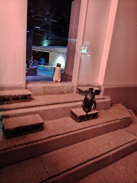 AOAO SAPPOROに投稿された画像（2026/2/17）