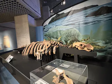 特別展「大絶滅展―生命史のビッグファイブ」に投稿された画像（2026/2/17）
