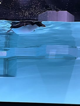 AOAO SAPPOROに投稿された画像（2026/2/17）