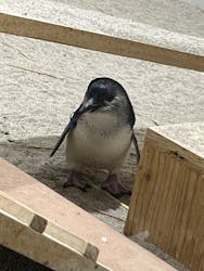 AOAO SAPPOROに投稿された画像（2026/2/17）