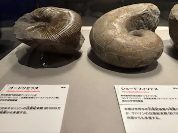 特別展「大絶滅展―生命史のビッグファイブ」に投稿された画像（2026/2/17）