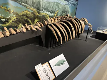 特別展「大絶滅展―生命史のビッグファイブ」に投稿された画像（2026/2/17）