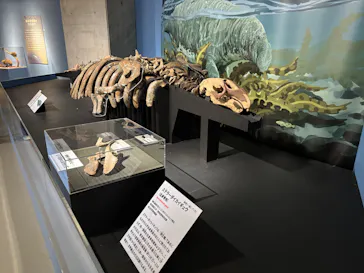 特別展「大絶滅展―生命史のビッグファイブ」に投稿された画像（2026/2/17）