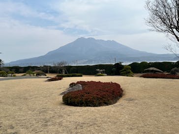 仙巌園に投稿された画像（2026/2/17）