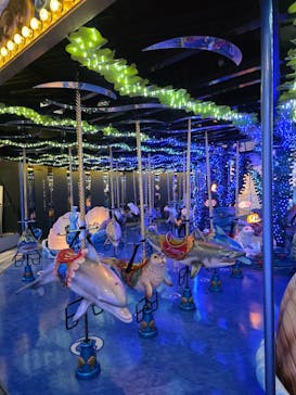 マクセル アクアパーク品川に投稿された画像（2026/2/17）