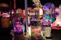 UWS AQUARIUM GA☆KYOに投稿された画像（2026/2/17）